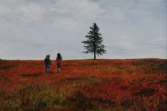 Landscapes