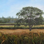outofshubie-1
