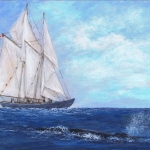 whale